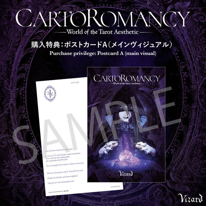 CARTOROMANCY アートブックとタロットカードセット CARTOROMANCY タロットカード【クーポン対象外】 | Vizard