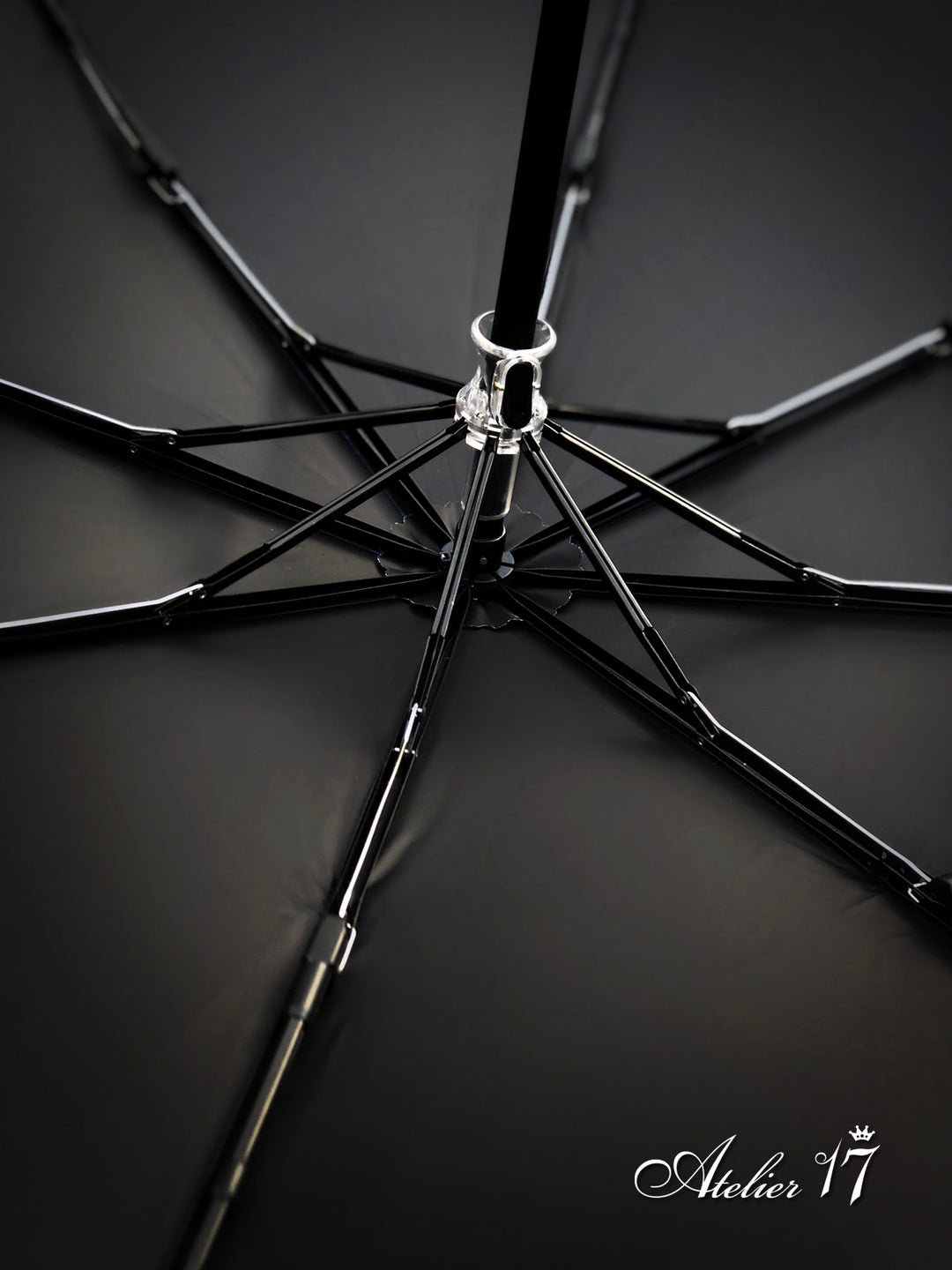 【新品未使用】フランス　高級傘　超レア☆アレクサンドラ・ソジュフェール クリスタルやオーガンジーetc．パリジェンヌが憧れる、アートのような