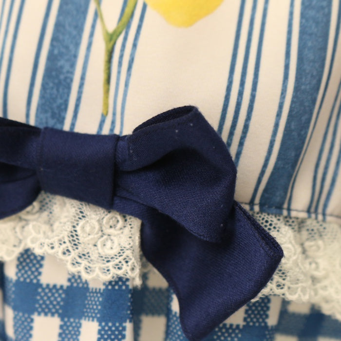 USED】vintage fruit バッスルジャンパースカート | metamorphose